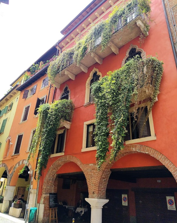 Immagine1